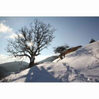 Carte postale "Ermitages des Pradiers sous la neige"